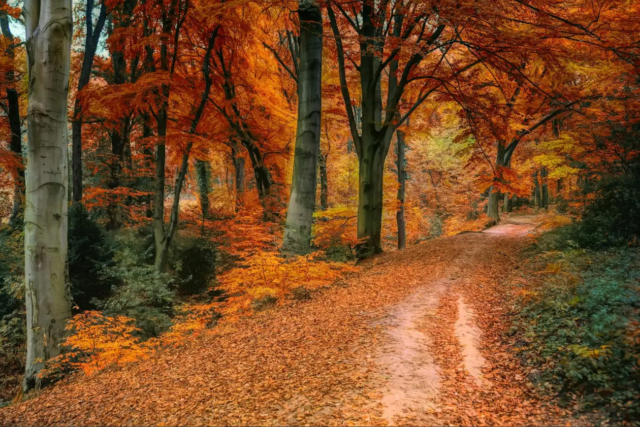 The Colours of Time