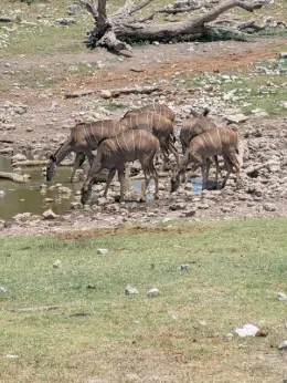 Kenya – visual journey
