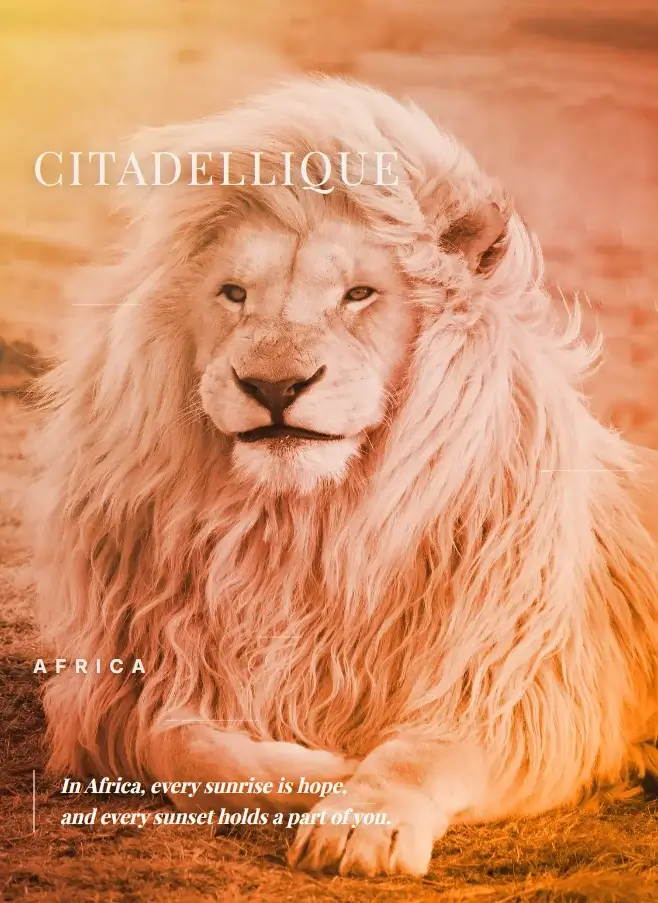 Citadellique Editorial — Issue 03